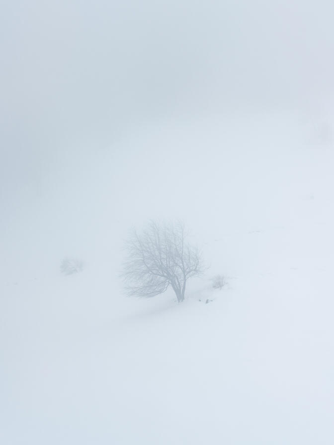 Snowstorm - Vormauerstein, Austria