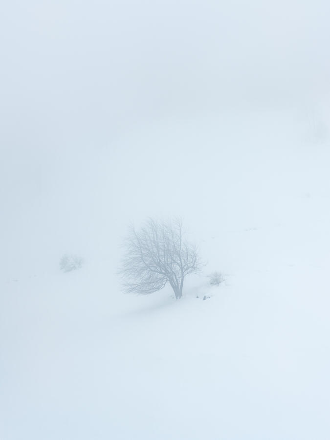 snowstorm - Vormauerstein, Austria